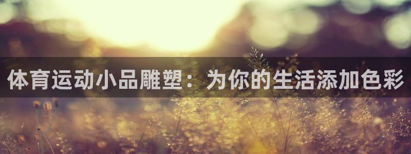 vsport体育在线官网