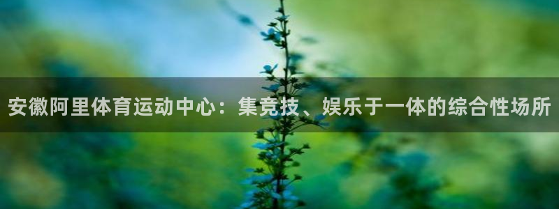vsport体育