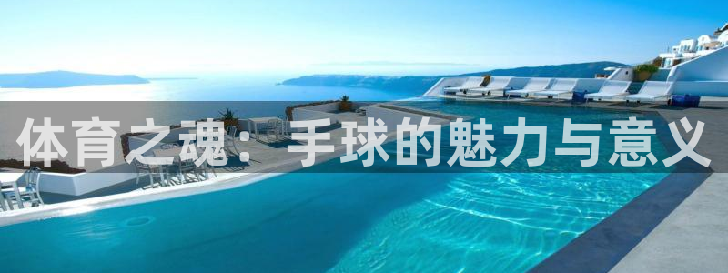 vsport体育在线官网