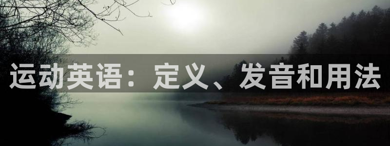 vsport体育在线官网