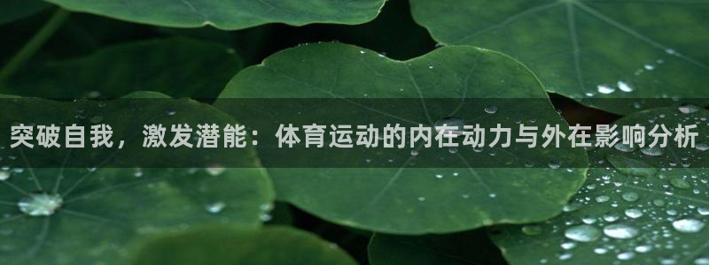 vsport体育在线官网