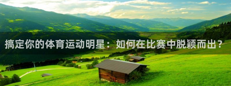 vsport体育在线官网