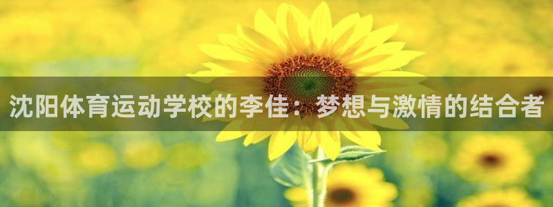 vsport体育在线官网
