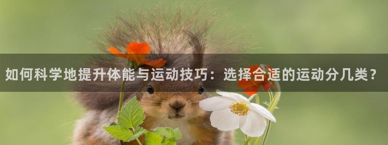 vsport体育在线官网