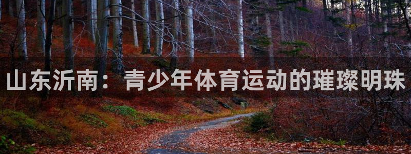 vsport体育