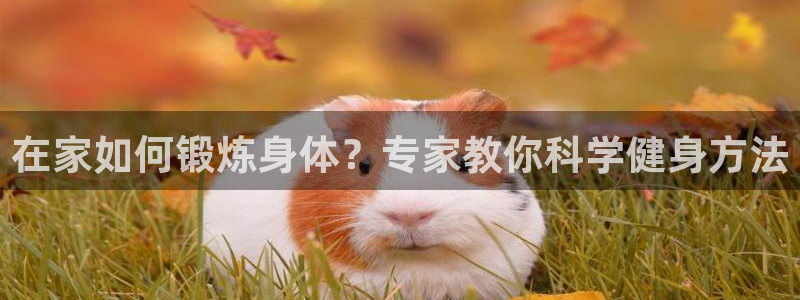 vsport体育在线官网
